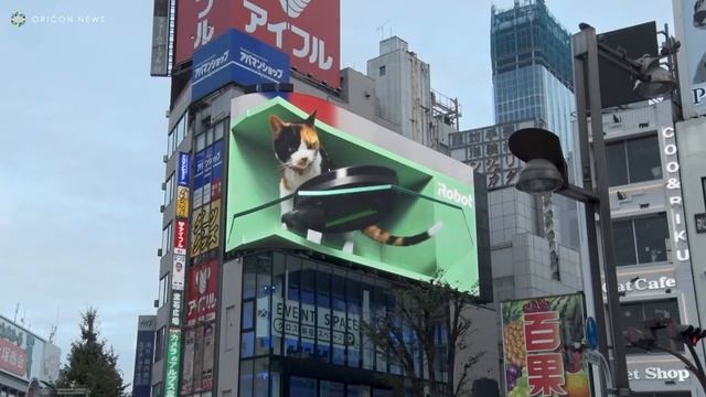 Очень крутая реклама с 3D котиком смотреть онлайн