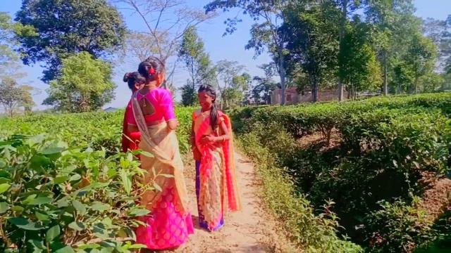 Premote porilu | Nilav Nita | Dance cover#nilav_nita#assamesedancecover#assamesesong#2022 смотреть онлайн