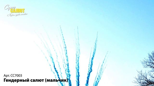 СС7003_2025 смотреть онлайн