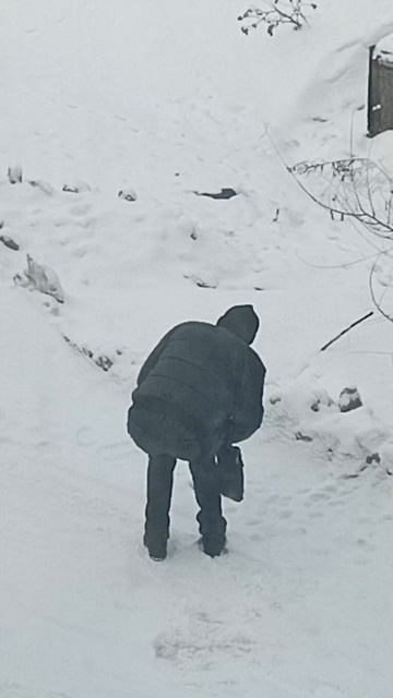 Тренировка на ноги