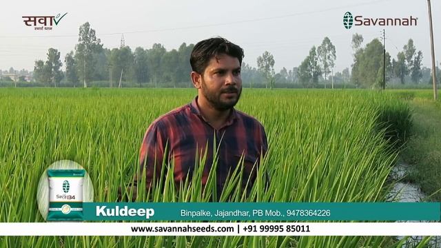 Punjab Farmer Testimonial | Sava Smart Rice 134 смотреть онлайн