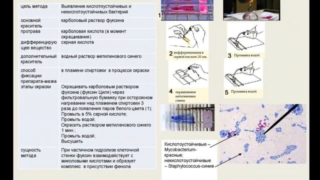 фарбування препаратів смотреть онлайн