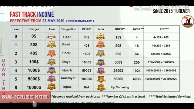 Pearl Vine Business full plan full support смотреть онлайн
