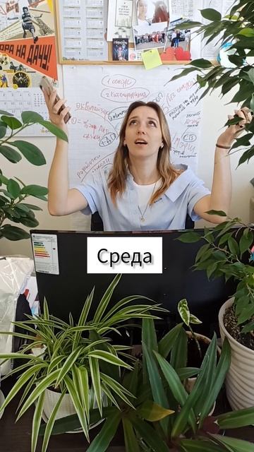 Рабочая неделя)