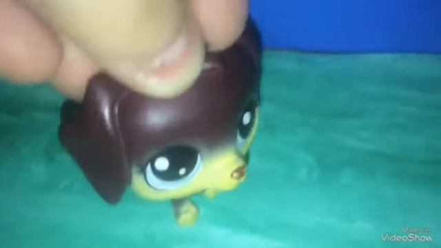 LPS: тайна Рэя/читай описание в каждом видео смотреть онлайн