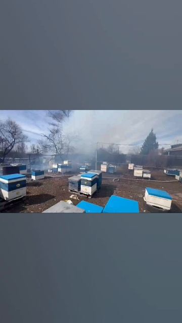 Пожар на пасеке  Солонлаевых в 2023 году сгорел омшаник, баня, корпуса и рамки.