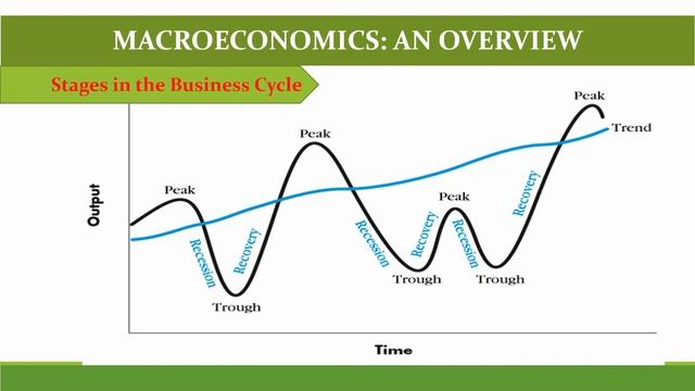 The Business Cycles | Stages | Fluctuations of Output смотреть онлайн