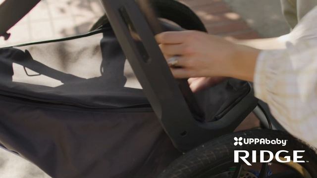 UPPAbaby Ridge Stroller