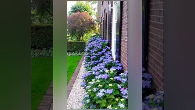 Идеи для дачи #21 смотреть онлайн