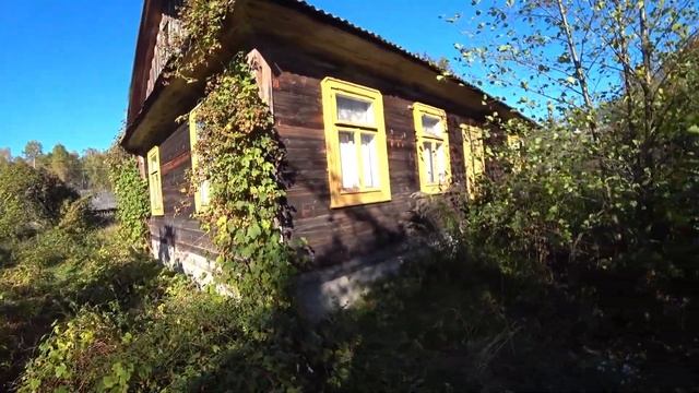 КРЕПКАЯ ХАТА У САМОГО ЛЕСА | ПРОДАЖА НЕДОРОГОГО ДОМА в Беларуси | ОБЗОР дома НА ПРОДАЖУ