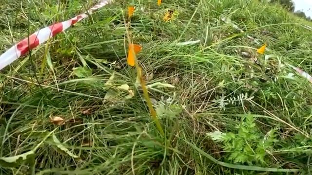 Миноискатель Альфамарин 5000 имеет быструю реакцию и точно определяет границы и центр мины смотреть онлайн