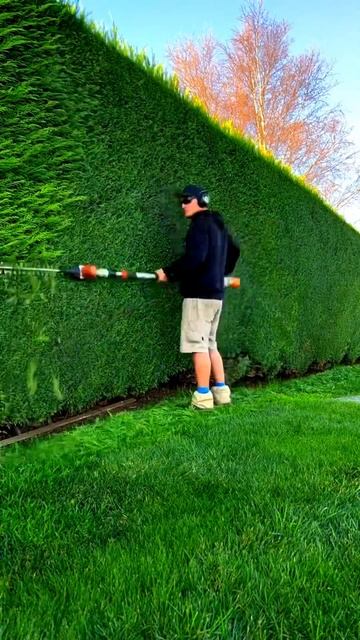 Satisfying Gardening 🤩🌳 #viral #satisfying #gardening #garden #fyp смотреть онлайн