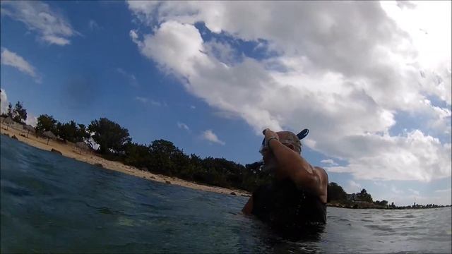 Dan and Dan go Snorkeling in Cuba смотреть онлайн