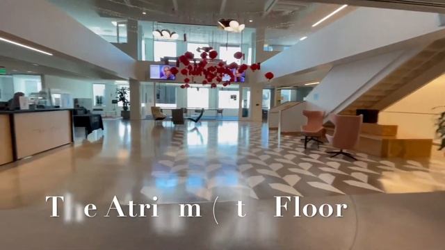 Hult Boston Campus смотреть онлайн
