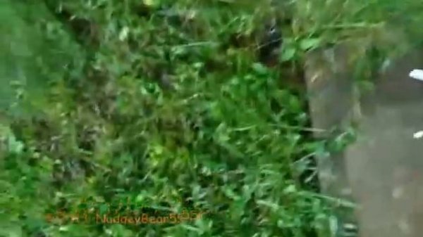 Hunter Pro-Spray PRS40 IN MY SYSTEM!