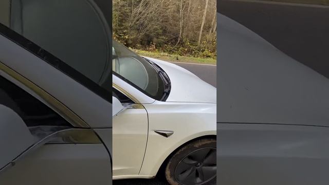 Tesla Model 3 2020 White Autopilot + Premium