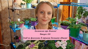 Болталка про Фиалки! Выпуск 53: Уход за фиалками в горшках большого объема!