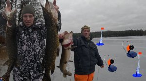 Щука не даёт скучать! Рыбалка на ЩУКУ, на зимнии жерлицы!