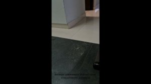 Комплект поставки и обзор работы моющего пылесоса ZOITEN