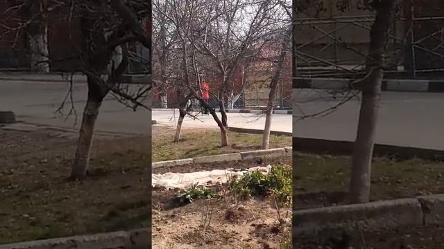 24 февраля 2019 год. 11:57 часов. смотреть онлайн