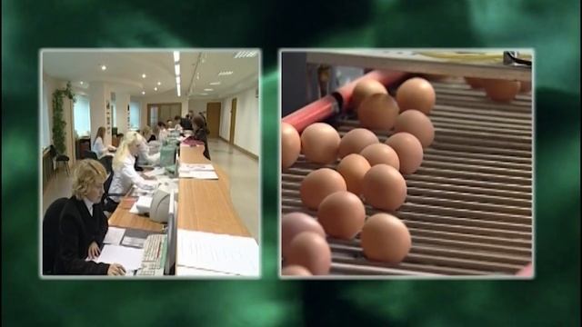 "15 летний капиталл" смотреть онлайн