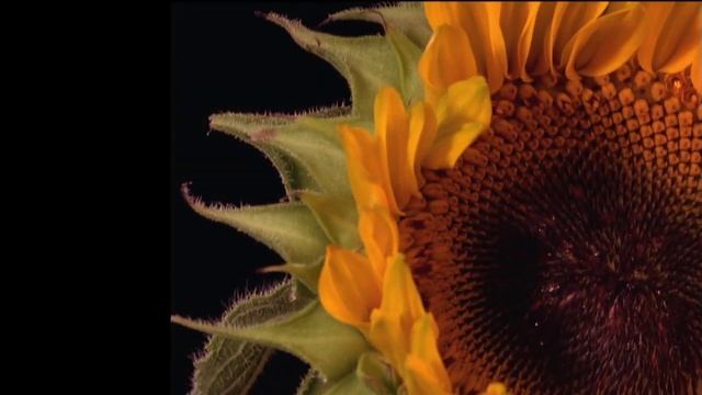 VJ footage 6 41 Free Footage - VJ Loops смотреть онлайн