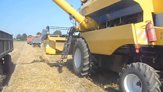 new holland tc 5080 i bizon super zo 56 zniwa 2013 смотреть онлайн