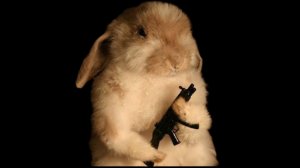 хомяк убийца 🐹