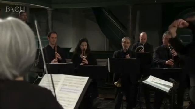 Bach’s Cantata BWV 65, Horns Soli смотреть онлайн
