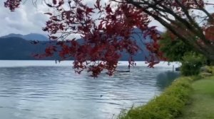 Игорь Крутой - Только для тебя |  Музыкальный салон Игоря Крутого