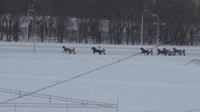 Московский ипподром. Бега. 12.02.17. Заезд 3(59) смотреть онлайн