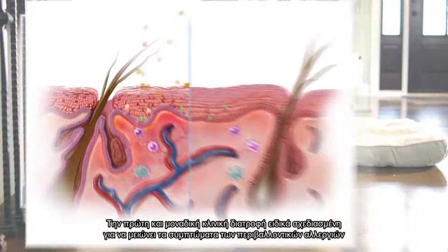 ΝΕΑ Hill's Prescription Diet™ Derm Defense™ με σύμπλεγμα Histaguard™ смотреть онлайн