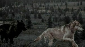 "Животное во мне" Отэм Джей караоке перевод / "Animal in me" Autumn J instrumental Russian lyrics