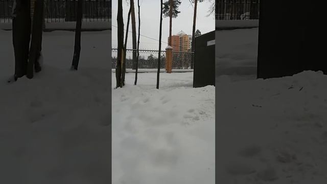 Центральный парк в городе Раменское после снегопада смотреть онлайн