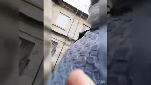 подача в Фокинскую прокуратуру г. Брянска заявление о нарушении масочного режима Антошиным Е. И. смотреть онлайн