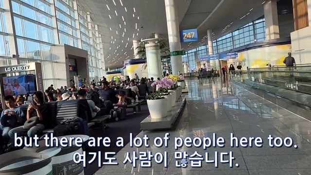 필리핀] #1 순회 비즈니스 미팅. Going on a business trip to the Philippines. смотреть онлайн
