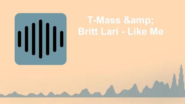 T-Mass & Britt Lari - Like Me (Без Авторских прав, Без АП) смотреть онлайн