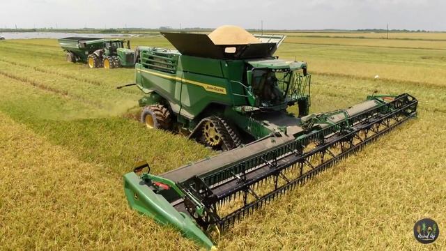 John Deere X9 Combine Harvesting Rice 4K