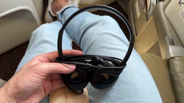 Vietnam Airlines BUSINESS CLASS 787 Flight Review: UNDERRATED? смотреть онлайн