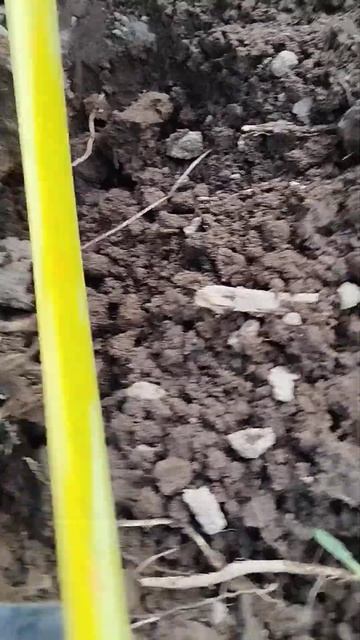 20 мая 2024 г. смотреть онлайн