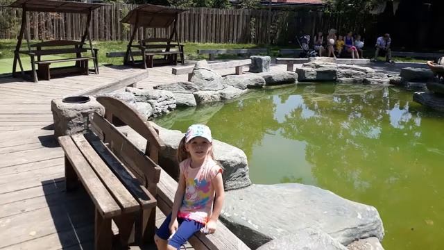 Сафари парк Краснодар смотреть онлайн