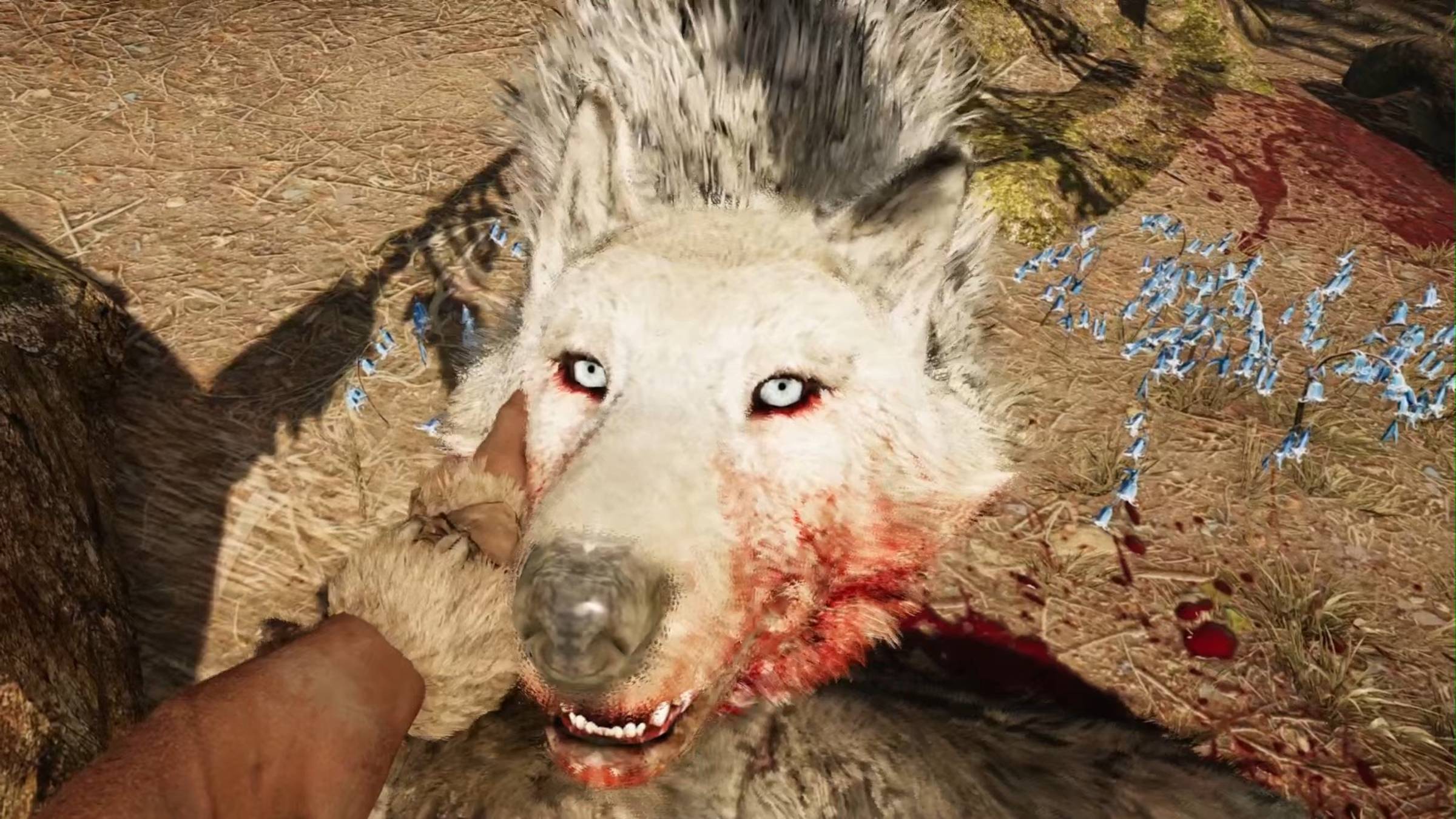 ЛЕДОВОЛК... ПЕРВЫЙ ИЗ ЛЕГЕНД!!! (Far Cry Primal #24) смотреть онлайн