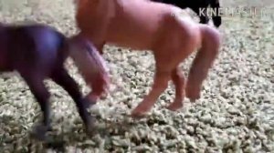 Шляйх сериал "неизведанное"