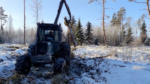 Remade MTZ 82 forwarder in the swamp