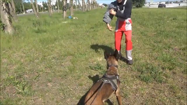 Драйв (6 мес.). Вторая встреча с фигурантом. смотреть онлайн