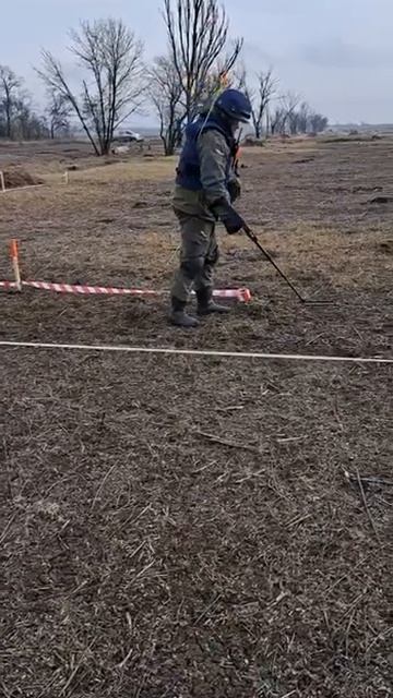 Работа по очистке местности Альфамарин 5000 смотреть онлайн