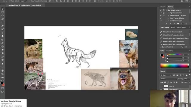 Animal Study Week: Aardwolf смотреть онлайн