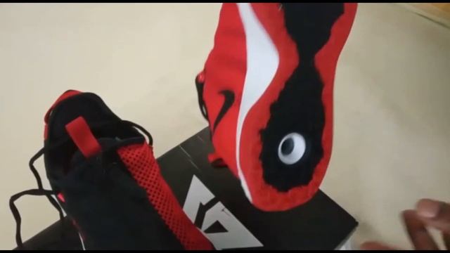 PG 4 Unboxing,