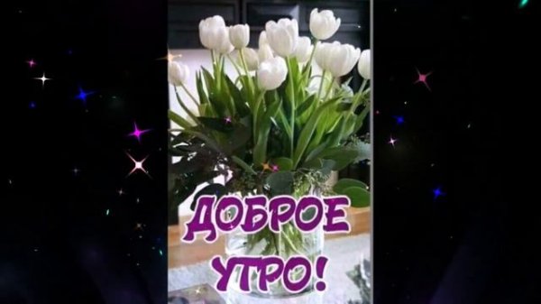 Доброе  утро       Karina   Единственный     mp4