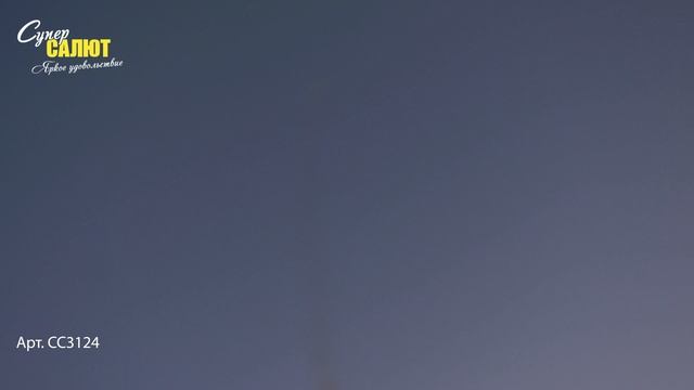 СС3124_2025 смотреть онлайн
